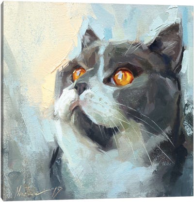 Gray Cat Canvas Art Print - Alex Movchun