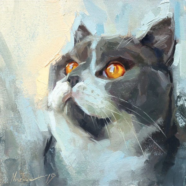 Alex Movchun: Gray Cat by Alex Movchun