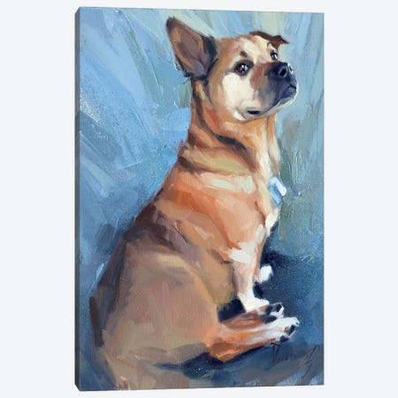 A Little Proud Dog Canvas Print #AMV27} by Alex Movchun Art Print