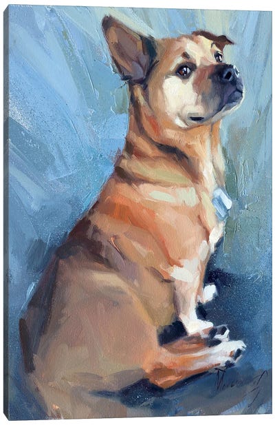 A Little Proud Dog Canvas Art Print - Alex Movchun
