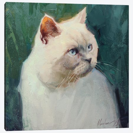 White British Cat Canvas Print #AMV28} by Alex Movchun Canvas Wall Art