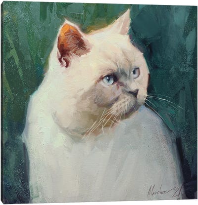 White British Cat Canvas Art Print - Alex Movchun