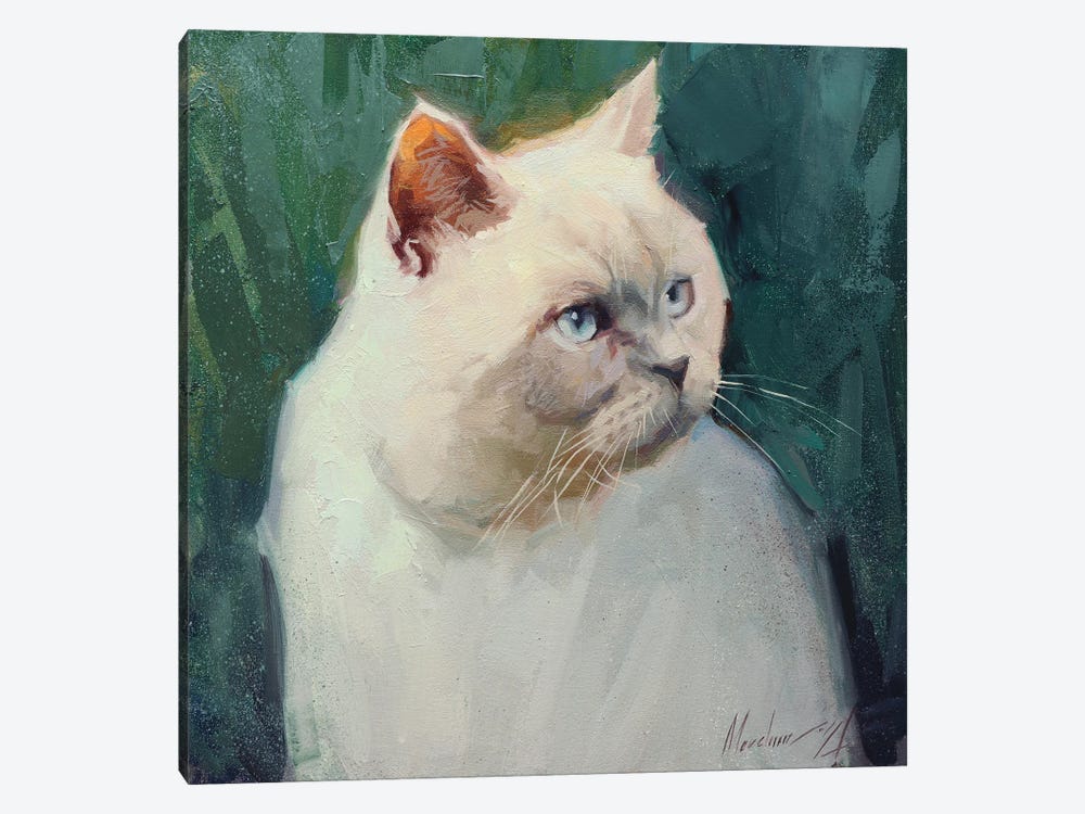White British Cat by Alex Movchun 1-piece Canvas Art