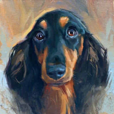 Little Dachshund by Alex Movchun canvas print