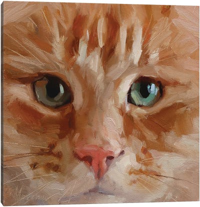 Red Cat Canvas Art Print - Artists From Ukraine