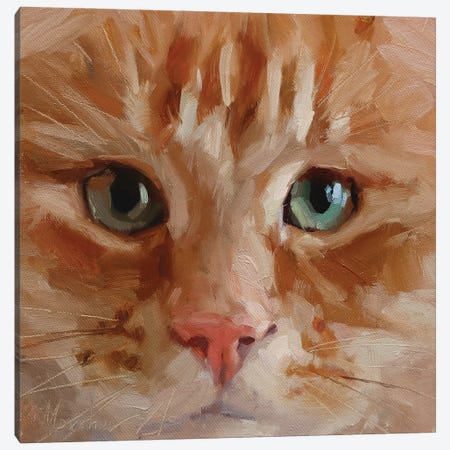 Red Cat Canvas Print #AMV30} by Alex Movchun Art Print