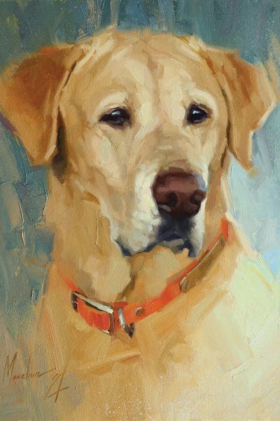 Yellow Labrador II by Alex Movchun framed wall art