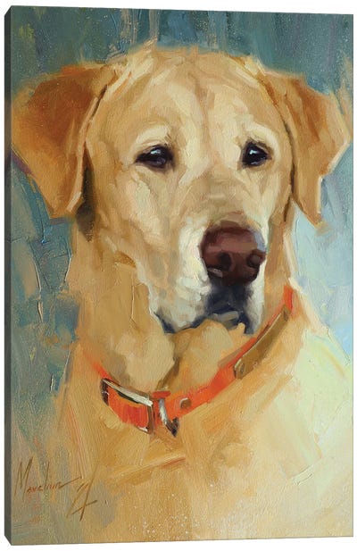 Yellow Labrador Canvas Art Print - Labrador Retriever Art