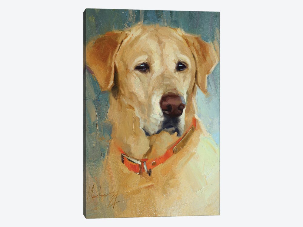 Yellow Labrador by Alex Movchun 1-piece Canvas Print