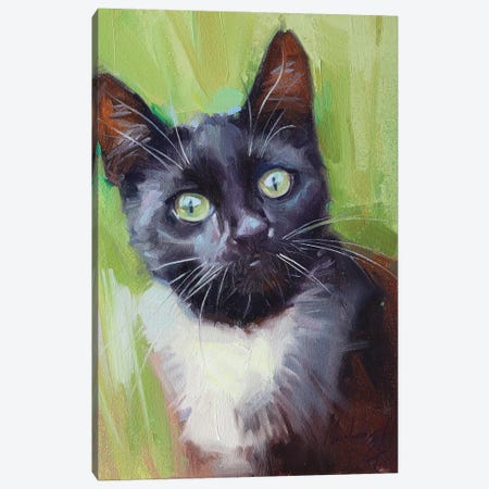 Black Cat With White Neck Canvas Print #AMV33} by Alex Movchun Canvas Print