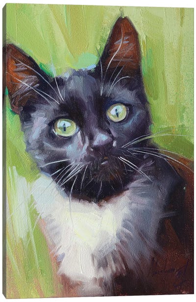 Black Cat With White Neck Canvas Art Print - Alex Movchun