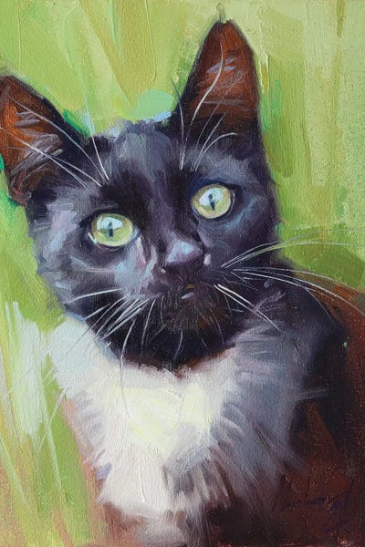 Alex Movchun: Black Cat With White Neck by Alex Movchun