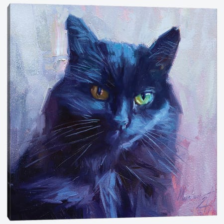 Black Cat Canvas Print #AMV34} by Alex Movchun Canvas Wall Art