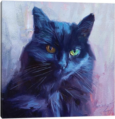 Black Cat Canvas Art Print - Alex Movchun