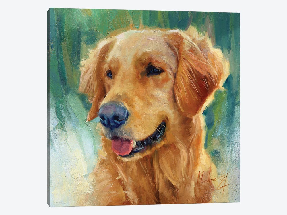 Golden Retriver In Sunny Day 1-piece Canvas Wall Art