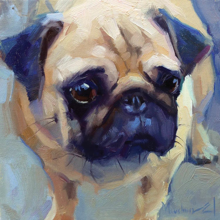 Little Pug