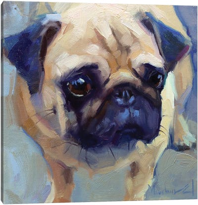 Little Pug Canvas Art Print - Alex Movchun