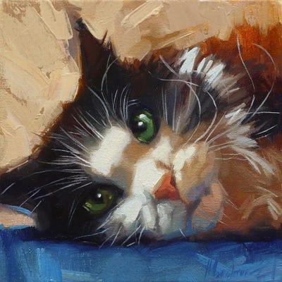 Fluffy Cat by Alex Movchun framed wall art