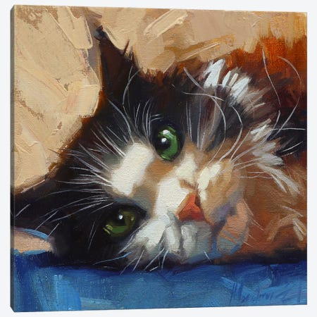 Fluffy Cat Canvas Print #AMV37} by Alex Movchun Canvas Wall Art