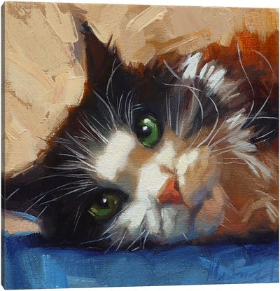 Fluffy Cat Canvas Art Print - Alex Movchun