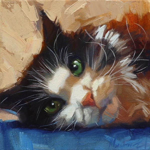 Alex Movchun: Fluffy Cat by Alex Movchun
