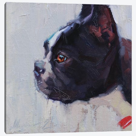French Bulldog Canvas Print #AMV39} by Alex Movchun Art Print