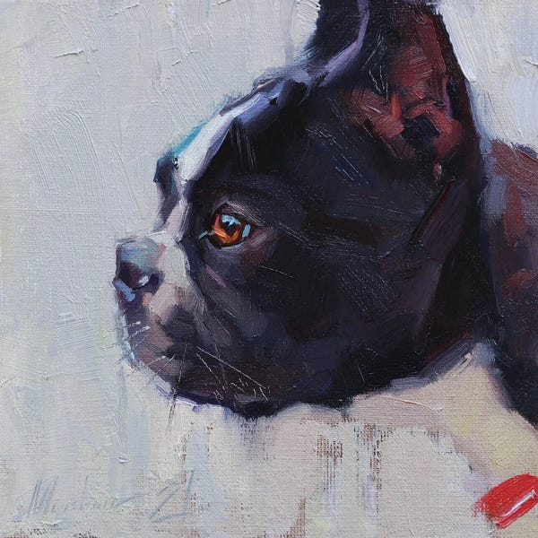 Alex Movchun: French Bulldog by Alex Movchun