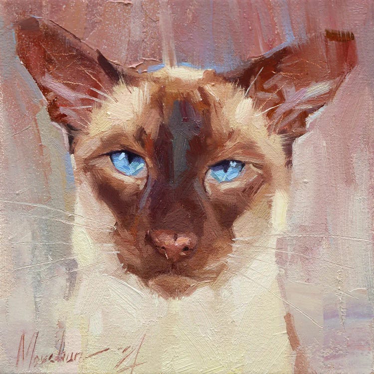 Siamese Cat