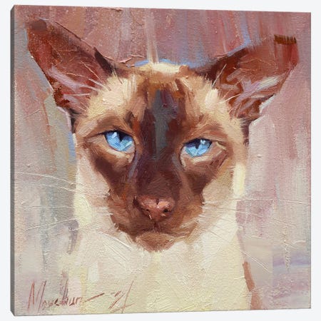 Siamese Cat Canvas Print #AMV41} by Alex Movchun Canvas Art