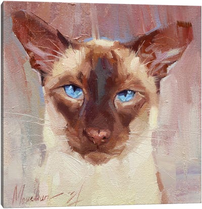Siamese Cat Canvas Art Print - Alex Movchun