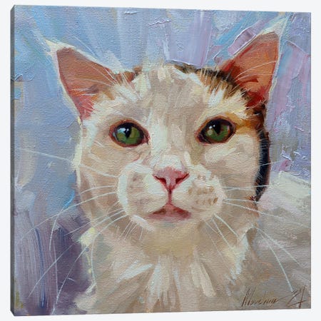 White Cat Canvas Print #AMV42} by Alex Movchun Canvas Artwork