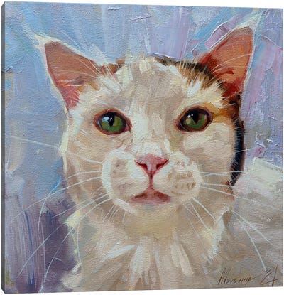 White Cat Canvas Art Print