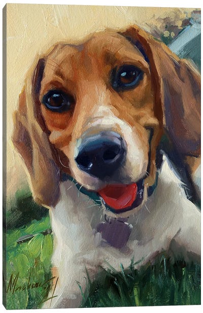 Beagle Canvas Art Print - Alex Movchun