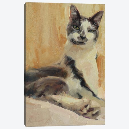 Gentle Cat Canvas Print #AMV47} by Alex Movchun Canvas Print