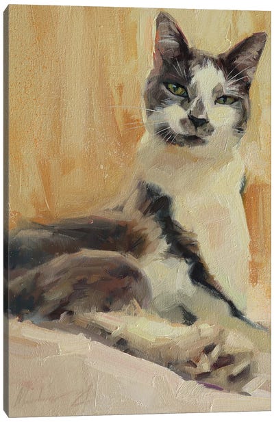 Gentle Cat Canvas Art Print - Alex Movchun