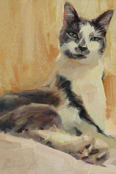 Alex Movchun: Gentle Cat by Alex Movchun
