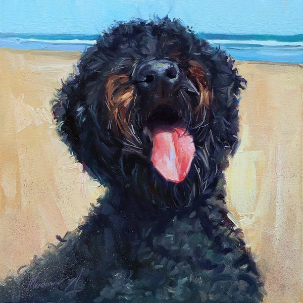 Alex Movchun: Black Labradoodle by Alex Movchun