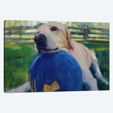 Labrador And Favorite Ball Canvas Print #AMV49} by Alex Movchun Canvas Art