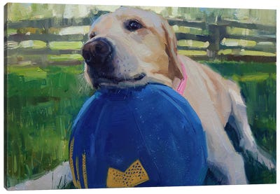 Labrador And Favorite Ball Canvas Art Print - Alex Movchun