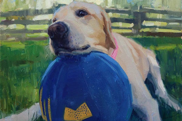 Labrador Retrievers: Labrador And Favorite Ball by Alex Movchun