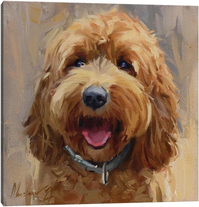 Yellow Labradoodle Canvas Art Print - Best Selling Dog Art