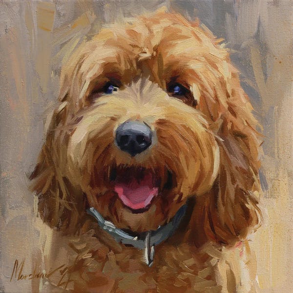 Dogs: Yellow Labradoodle by Alex Movchun