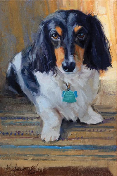 Dachshunds: Dachshund by Alex Movchun