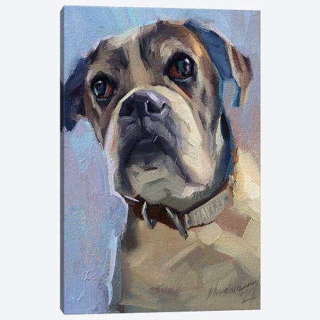 Boxer Dog Canvas Print #AMV54} by Alex Movchun Canvas Artwork