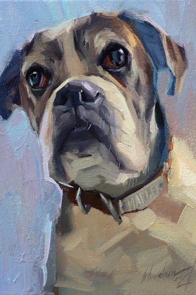 Alex Movchun: Boxer Dog by Alex Movchun