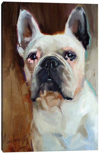 Bulldog Canvas Art Print - French Bulldog Art