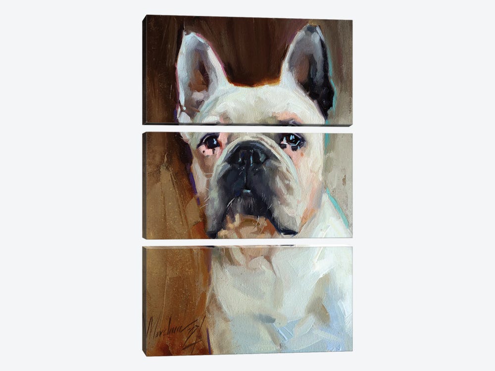 Bulldog 3-piece Canvas Wall Art