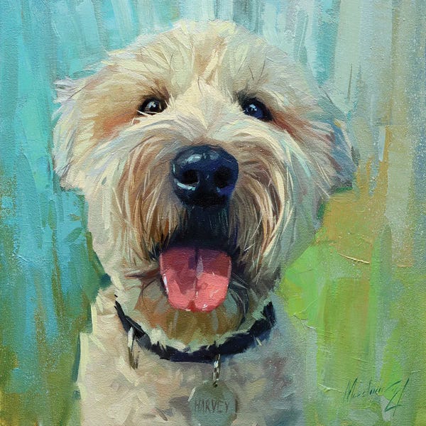 Alex Movchun: White Labradoodle by Alex Movchun