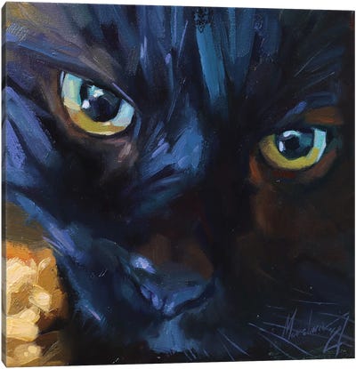 Black Cat With Green Eyes Canvas Art Print - Alex Movchun