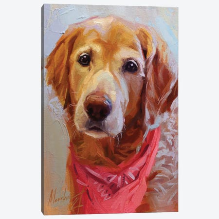 Yellow Labrador With Pink Bandana Canvas Print #AMV59} by Alex Movchun Art Print